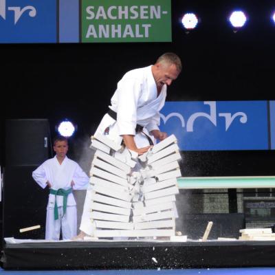 Sachsen- Anhalt Tag 2015 Köthen