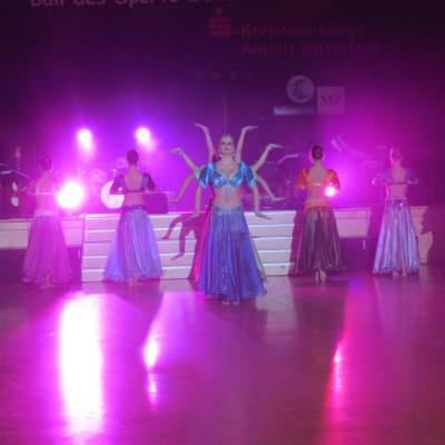 Ball des Sports 2013